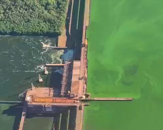 Melhora na qualidade da água do Rio Tietê contrasta com algas no noroeste de SP