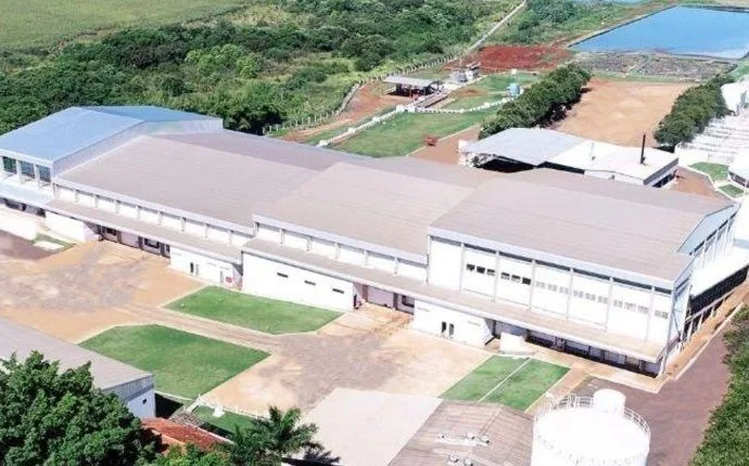 Falência do Frigorífico Balbinos em Sidrolândia: Justiça decreta quebra da empresa