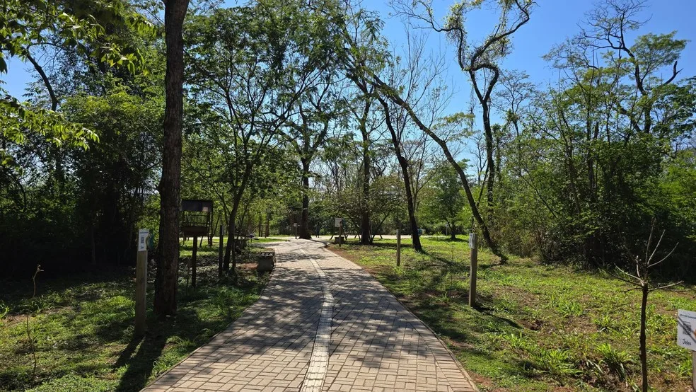 Imagem Divulgação/Prefeitura de Jales