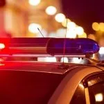 Cachorro é arrastado por caminhão em SP e polícia investiga o caso