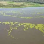 Pantanal Energética interrompe liberação de macrófitas no Rio Pardo após solicitação do Imasul