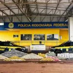 PRF apreende quase 1 tonelada de drogas em carga de minério na BR-262