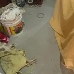 Defesa de veterinária ré critica investigação sobre venda de sangue de gatos em Monte Alto, SP