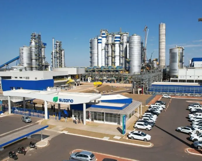 Suzano investe R$ 22,2 bilhões em nova fábrica de celulose em MS