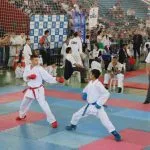 Três Lagoas sedia VII Open Nacional de Karatê neste domingo com mil atletas