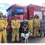 Cachorro é resgatado após cair de penhasco no interior de SP