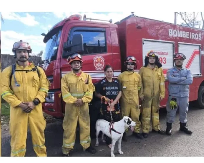 Cachorro é resgatado após cair de penhasco no interior de SP
