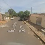 Inquilino abandona quatro cães após despejo em Araçatuba