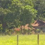 STF anula investigação sobre compra de imóveis pelo prefeito de São José do Rio Preto