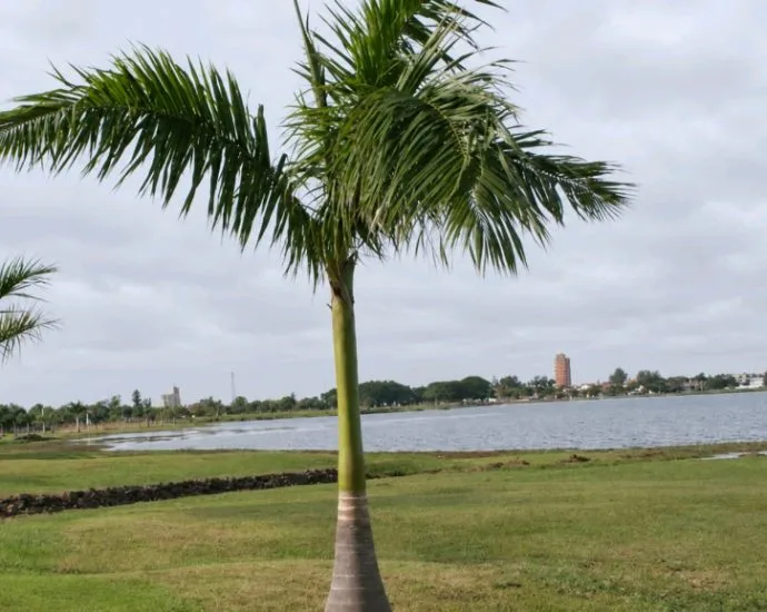 Previsão do Tempo: Sexta-feira Quente e Possibilidade de Chuva em Três Lagoas