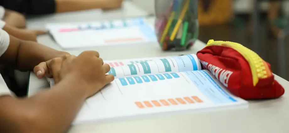 Censo Escolar 2026: Conferência de dados até 11 de setembro Censo Escolar 2026: Conferência de dados até 11 de setembro