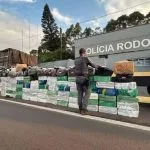 Apreensão de quase 3 toneladas de maconha em carga de aveia em SP