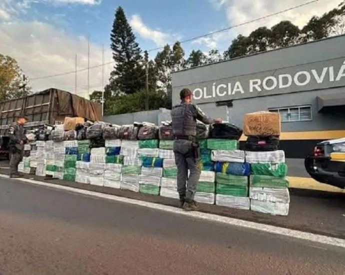 Apreensão de quase 3 toneladas de maconha em carga de aveia em SP