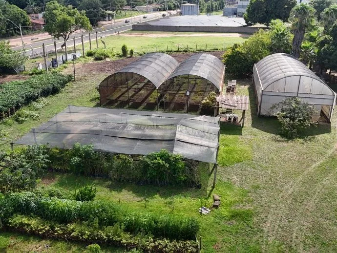 Viveiro Municipal de Três Lagoas mantém atendimento contínuo