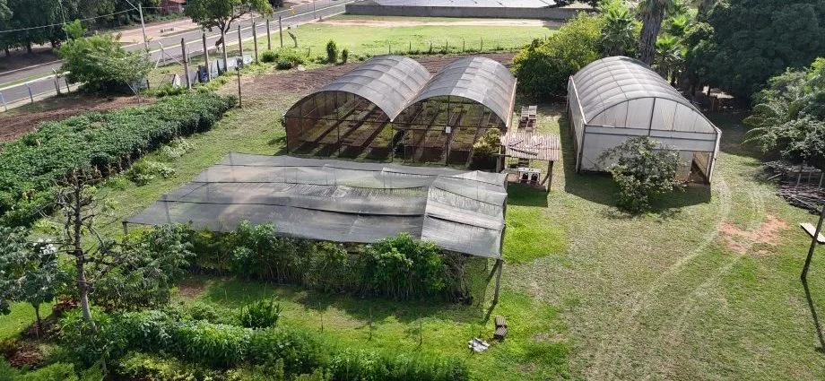 Viveiro Municipal de Três Lagoas mantém atendimento contínuo