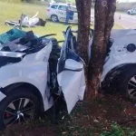 Mulher morre após colisão com árvore na Rodovia SP-543 em Guarani D'Oeste