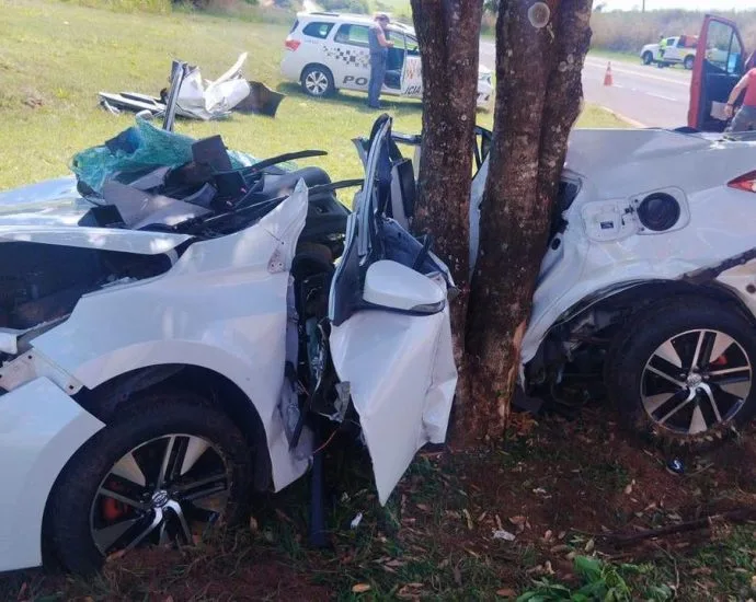 Mulher morre após colisão com árvore na Rodovia SP-543 em Guarani D'Oeste