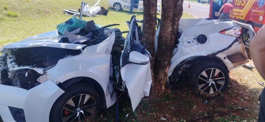 Mulher morre após colisão com árvore na Rodovia SP-543 em Guarani D'Oeste Mulher morre após colisão com árvore na Rodovia SP-543 em Guarani D'Oeste