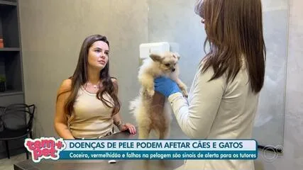 Doenças de pele em cães e gatos: veja os primeiros sinais Doenças de pele em cães e gatos exigem atenção dos tutores com primeiros sinais