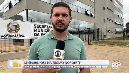 Leishmaniose no noroeste paulista reúne 12 dos 22 casos de SP em 2026 Noroeste paulista concentra mais da metade dos casos de leishmaniose visceral de SP