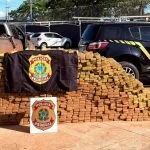 PF apreende aproximadamente 1,8 tonelada de maconha em Três Lagoas