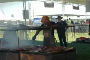 19ª Cavalgada Sul-Mato-Grossense do Arapuá reúne mais de 28 comitivas