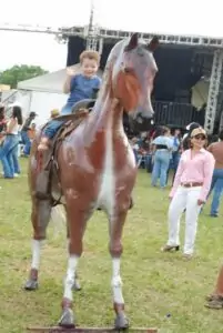 19ª Cavalgada Sul-Mato-Grossense do Arapuá reúne mais de 28 comitivas