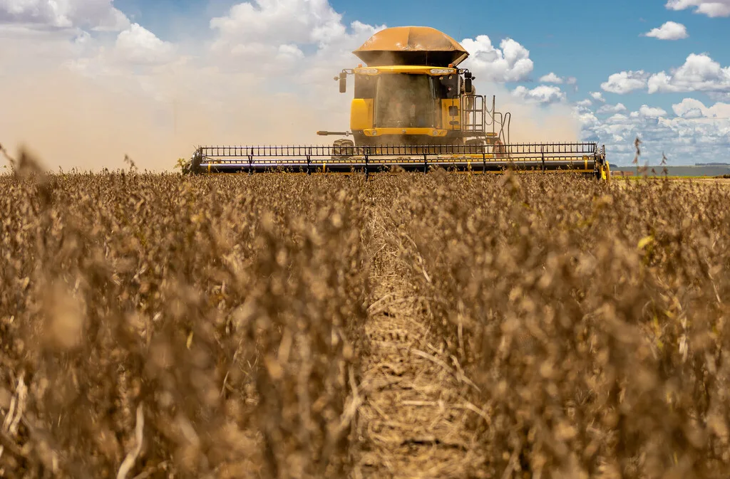 Soja tem 91% da safra comercializada em Mato Grosso do Sul