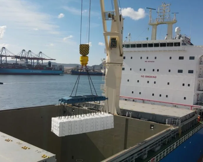 Suzano embarca 39,1 mil toneladas de celulose em 24 horas em Santos