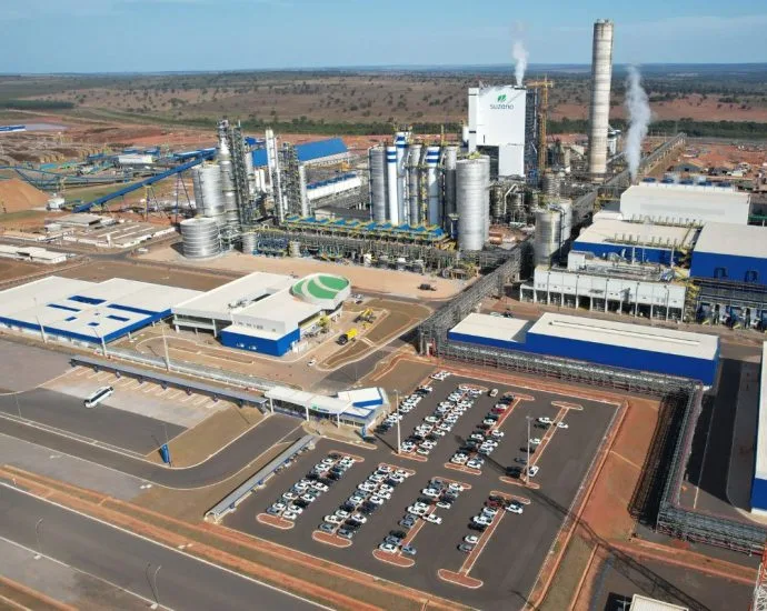 Suzano oferece vagas de estágio em Ribas do Rio Pardo e Três Lagoas