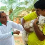 Vacinação antirrábica terá 19 pontos em Três Lagoas no dia 24