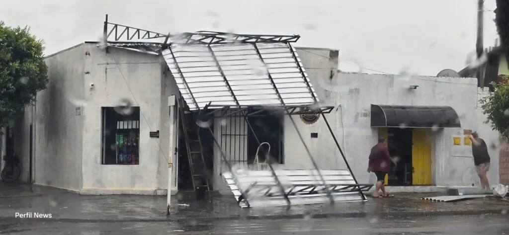 Chuva e ventania provocam estragos em Três Lagoas, derrubam árvores e deixam Defesa Civil em alerta