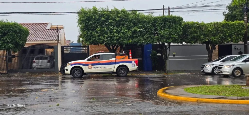 Chuva e ventania provocam estragos em Três Lagoas, derrubam árvores e deixam Defesa Civil em alerta