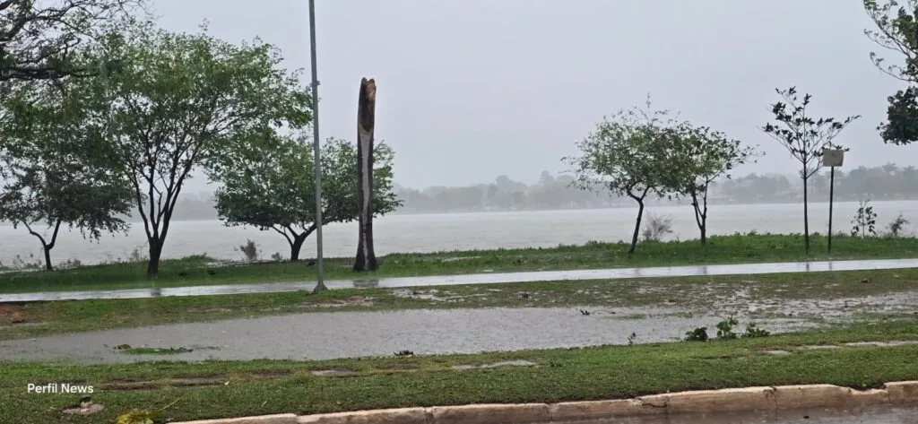Chuva e ventania provocam estragos em Três Lagoas, derrubam árvores e deixam Defesa Civil em alerta