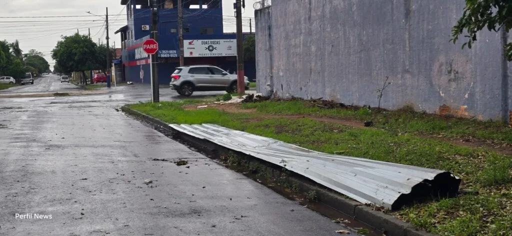 Chuva e ventania provocam estragos em Três Lagoas, derrubam árvores e deixam Defesa Civil em alerta