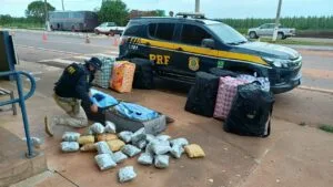PRF apreende 253 kg de drogas em ônibus na BR-262, em Três Lagoas