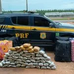 PRF apreende 253 kg de drogas em ônibus na BR-262, em Três Lagoas