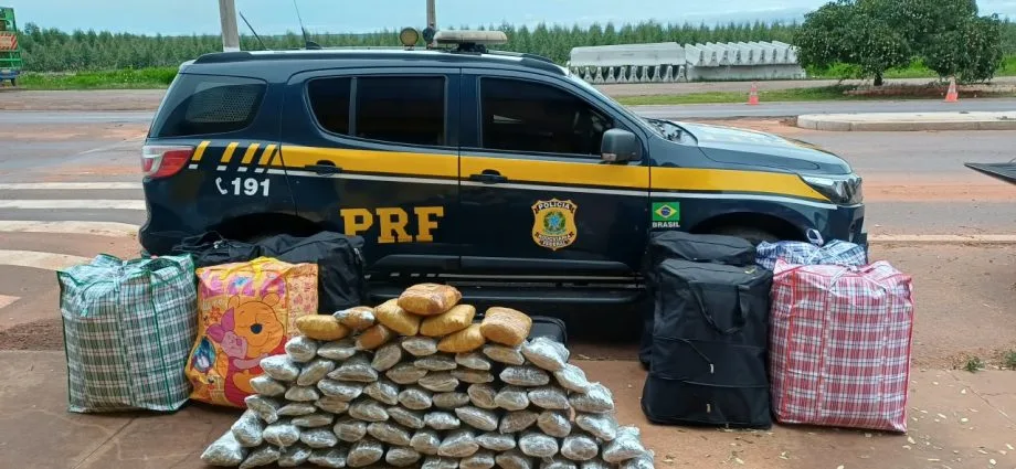 PRF apreende 253 kg de drogas em ônibus na BR-262, em Três Lagoas PRF apreende 253 kg de drogas em ônibus na BR-262, em Três Lagoas