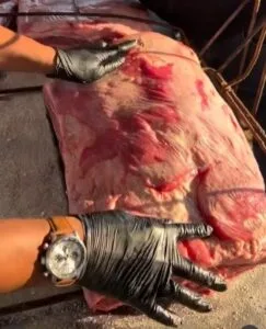 19ª Cavalgada do Arapuá reúne comitivas em Três Lagoas