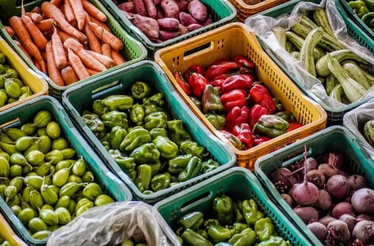 Mato Grosso do Sul registra 2,1% de risco de insegurança alimentar