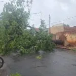 Temporal deixa morto, feridos e estragos em Araçatuba