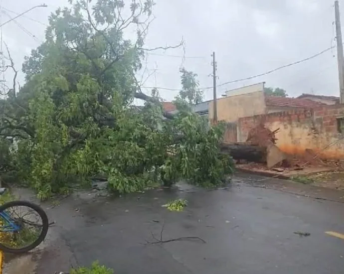 Temporal deixa morto, feridos e estragos em Araçatuba