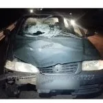 Pedestre morre atropelado na SP-294, em Vera Cruz