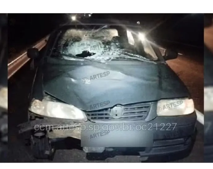 Pedestre morre atropelado na SP-294, em Vera Cruz