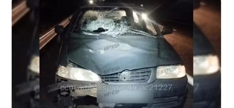 Pedestre morre atropelado na SP-294, em Vera Cruz