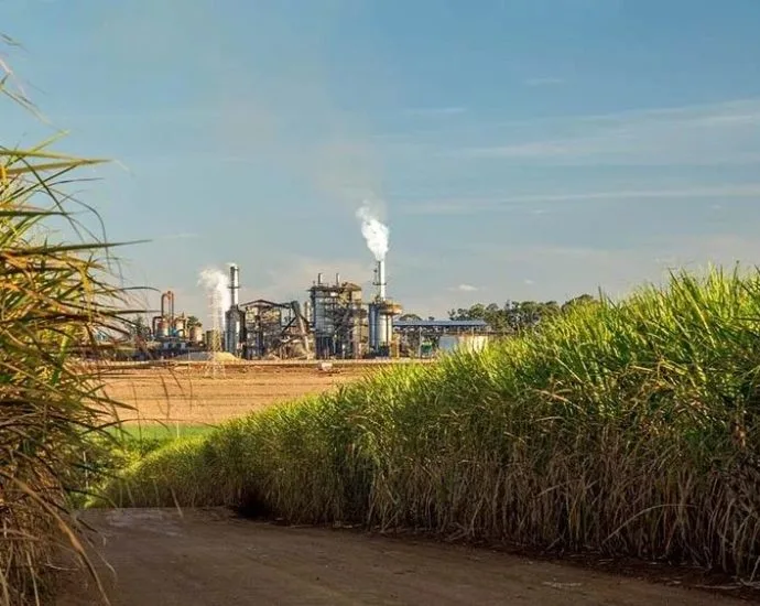 Zilor obtém certificação ISCC EU para exportar etanol de Macatuba