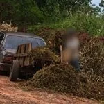 Descarte irregular em Andradina pode render multa de até 50 UFM por m³