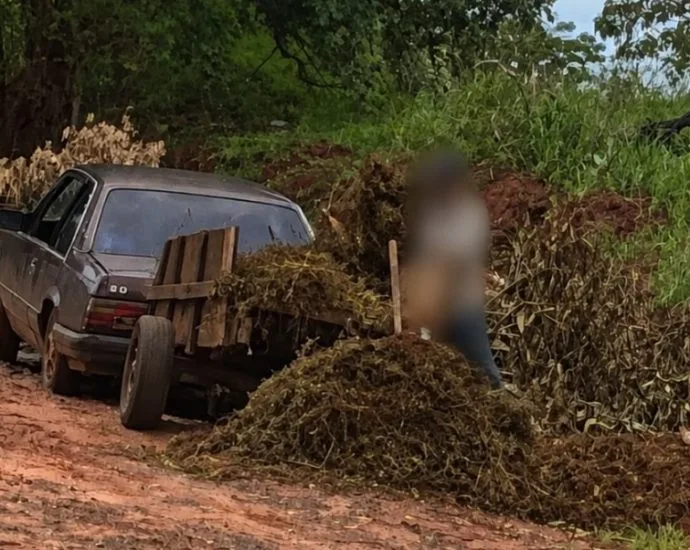 Descarte irregular em Andradina pode render multa de até 50 UFM por m³