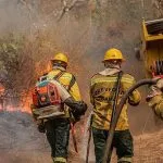 Amazonas terá reforço de aeronaves contra queimadas