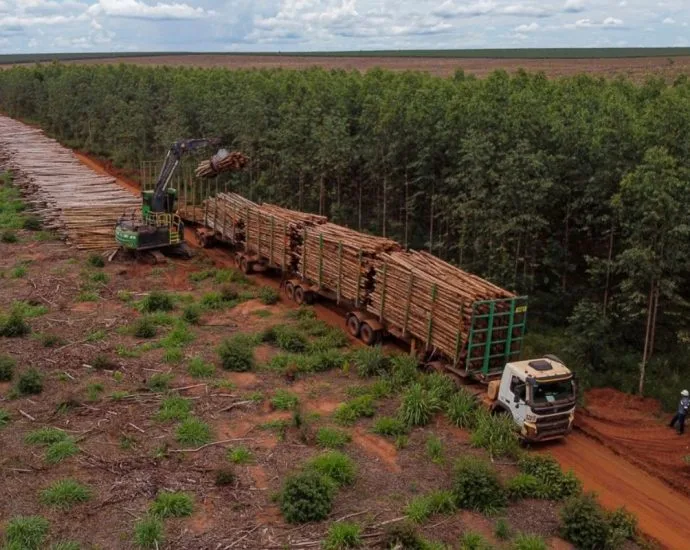 Suzano oferece 18 vagas em Bataguassu, Ribas do Rio Pardo e Três Lagoas